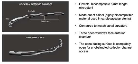 hydrus stent dimensions